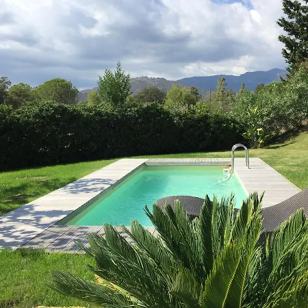Aloe Holiday home *